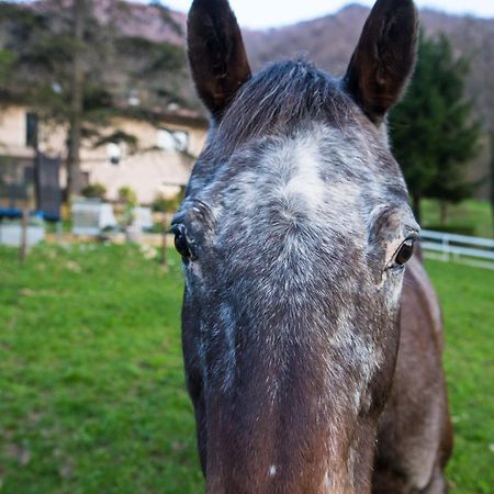 Cascina Canale Sabbio Chiese Екстер'єр фото