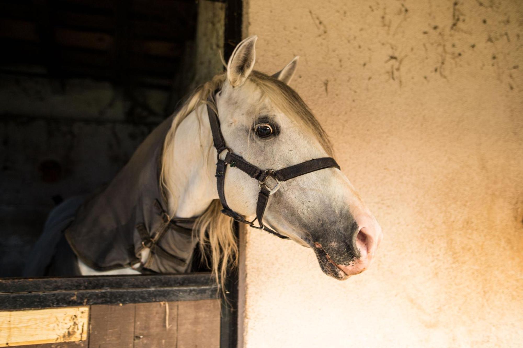 Cascina Canale Sabbio Chiese Екстер'єр фото